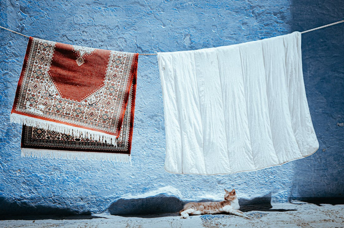 rotect From Sunlight